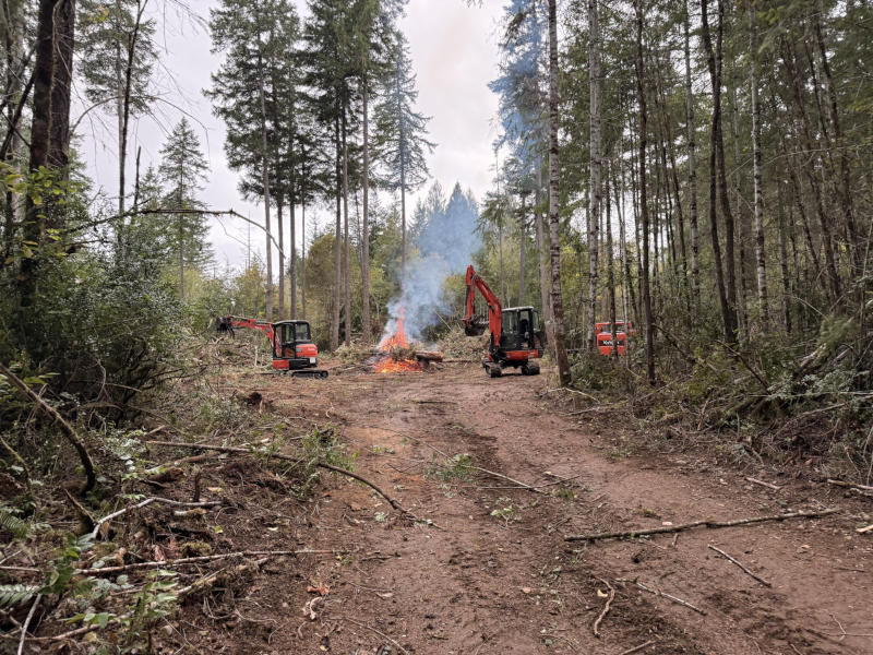 Land clearing project